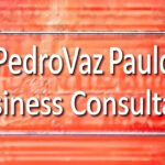PedroVazPaulo Business Consultant